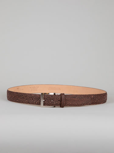 Genuine Shark Skin Belt - Cognac